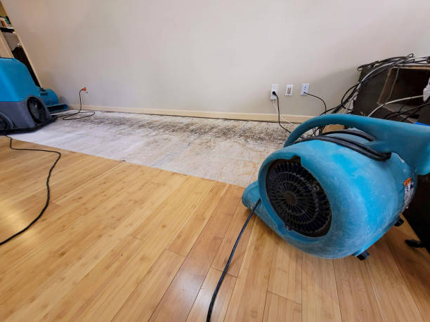 Professional Water Damage Repair technician working in Princewick, WV